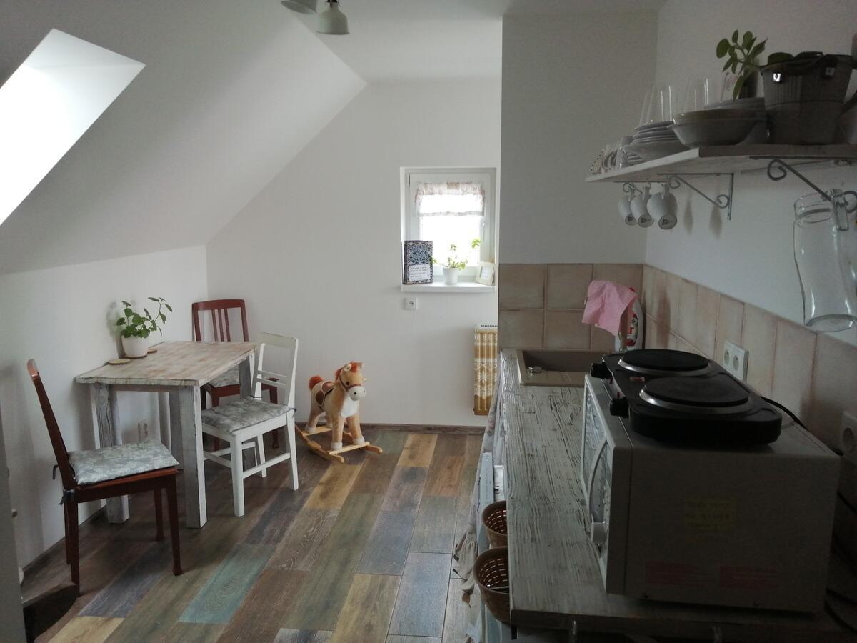 Ubytovani Otin Jindrichuv Hradec Bagian luar foto